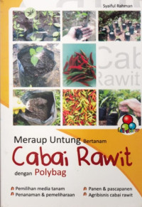 Image of Meraup Untung Bertanam Cabai Rawit dengan Polybag